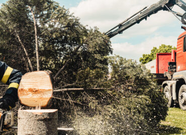 Single Line Tree Care LLC