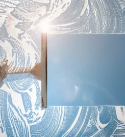Wagner Window Cleaning 360