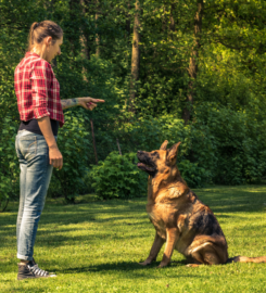 Unleash K9