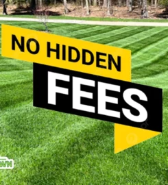 Cangelosi Lawn LLC