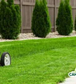 Cangelosi Lawn LLC