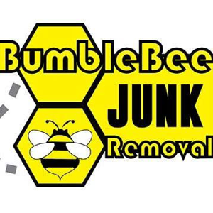 BumbleBee Junk