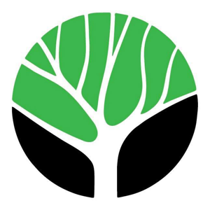 Top Leaf Tree Service