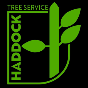 Haddock Tree Service
