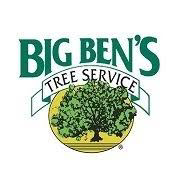 Big Ben’s Tree Service