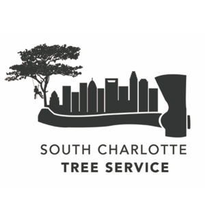 South Charlotte Tree Service