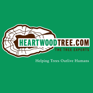 Heartwood Tree Care, LLC