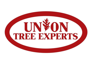 Union Tree Experts, Inc.