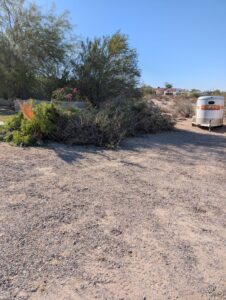 Business queued-photos - Coscom Appliance and Junk Removal