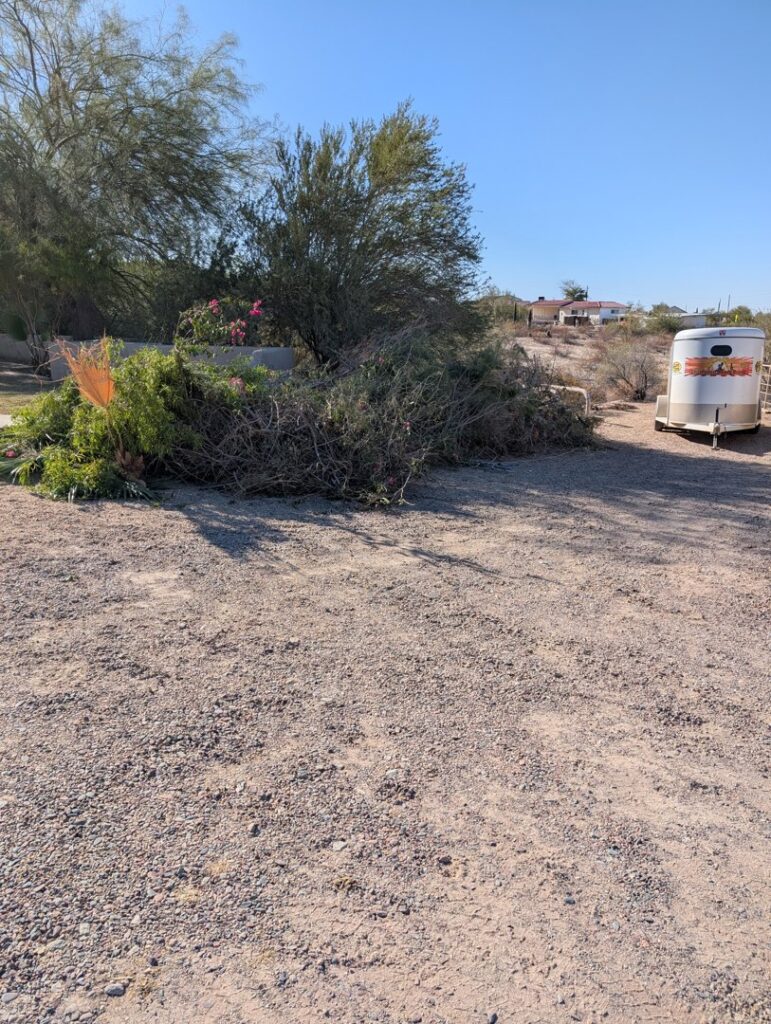 Business queued-photos - Coscom Appliance and Junk Removal