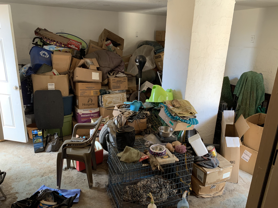 Business queued-photos - Az Junk Removal & Dumpsters