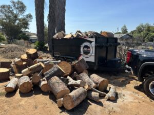 Business queued-photos - J&B Solutions