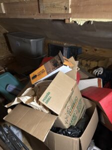 Business queued-photos - Lolo Hauling Junk Removal