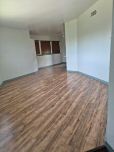 Business queued-photos - The Junkluggers