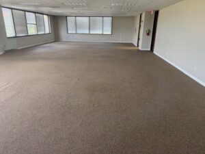 Business queued-photos - The Junkluggers