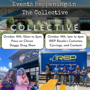 Business queued-photos - IREP Junk Removal ATX