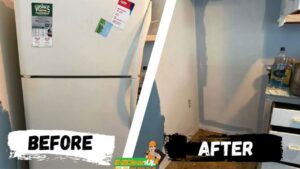 Business queued-photos - Bee There Junk Removal