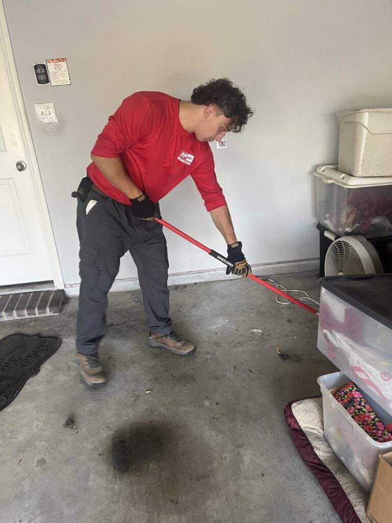 Business queued-photos - JM Junk Removers