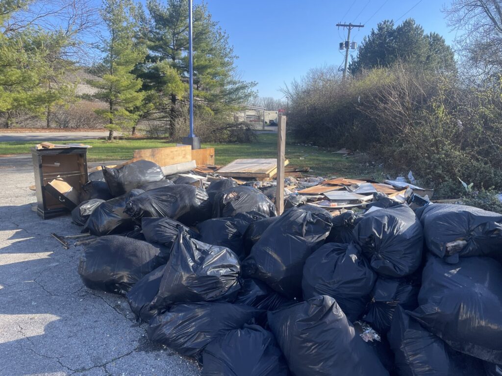 Business queued-photos - Junk Ninja