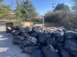 Business queued-photos - Junk Ninja