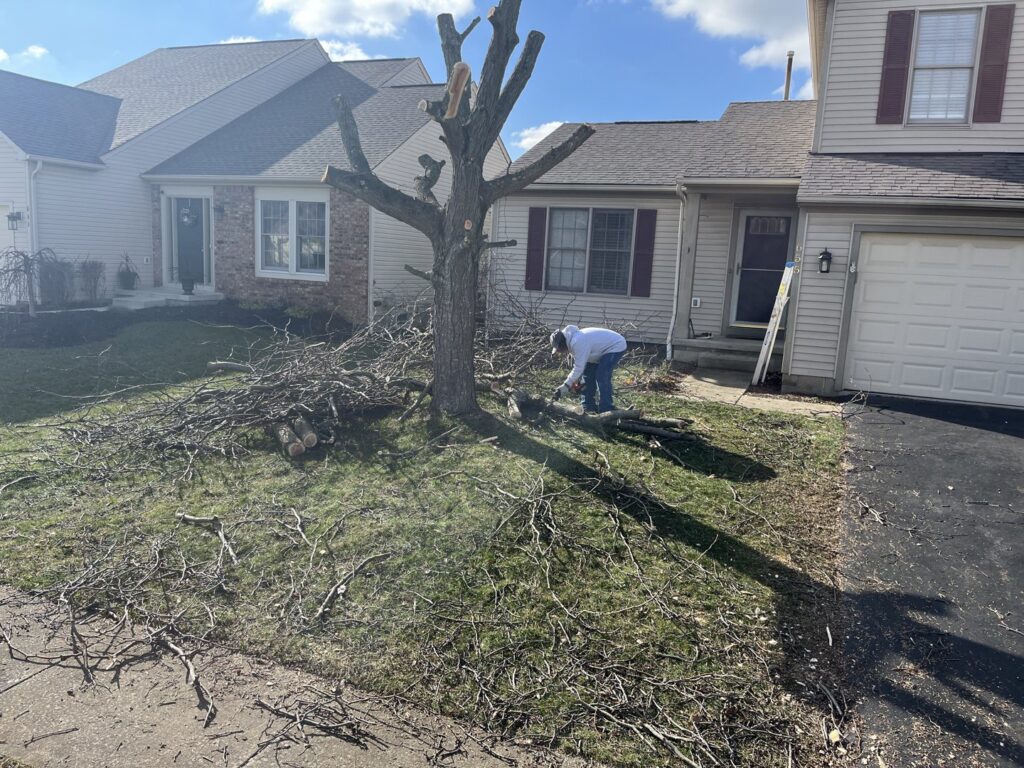 Business queued-photos - Lug Stars Junk Removal