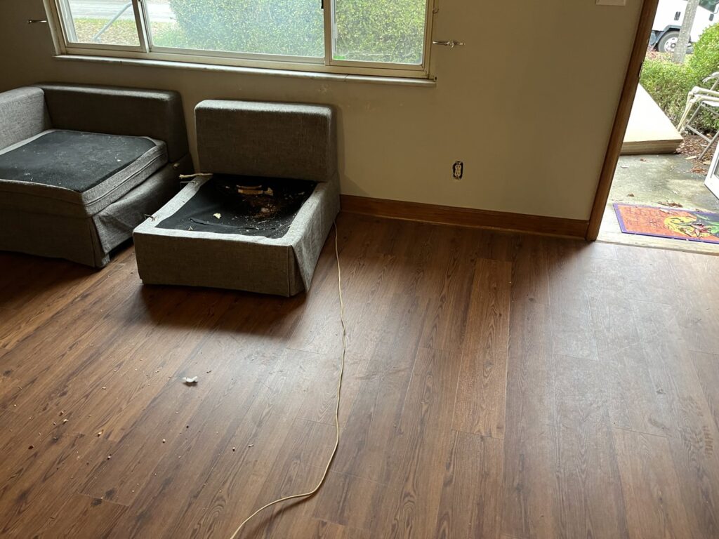 Business queued-photos - Lug Stars Junk Removal