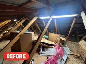 Business queued-photos - Pro-Haul Junk Removal