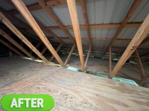 Business queued-photos - Pro-Haul Junk Removal