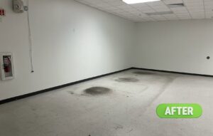 Business queued-photos - Pro-Haul Junk Removal