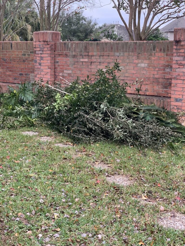 Business queued-photos - D & Ds Junk Removal Services