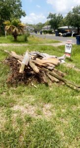 Business queued-photos - D & Ds Junk Removal Services