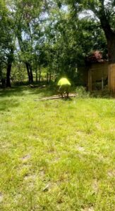 Business queued-photos - D & Ds Junk Removal Services