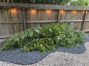 Business queued-photos - D & Ds Junk Removal Services