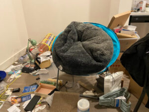 Business queued-photos - D & Ds Junk Removal Services