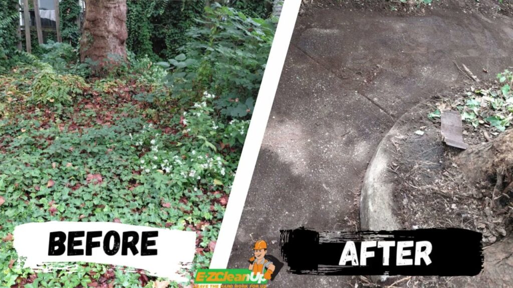 Business queued-photos - EZ Clean Up – Junk Removal Philadelphia