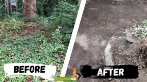 Business queued-photos - EZ Clean Up – Junk Removal Philadelphia