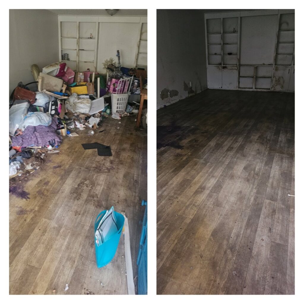 Business queued-photos - Let’s go momma junk removal services