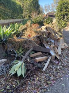 Business queued-photos - Junk Junkys