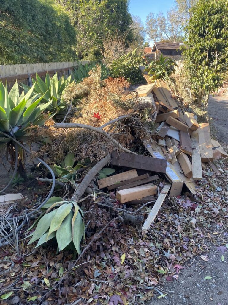 Business queued-photos - Junk Junkys