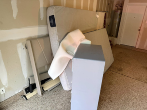 Business queued-photos - Trash Talk Junk Removal Service