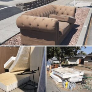 Business queued-photos - Stars Junk Removal