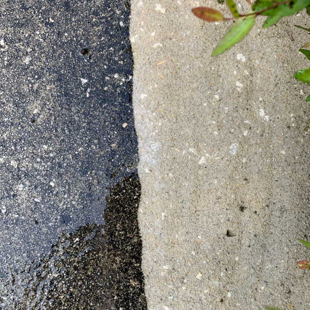 Business queued-photos - Sea Coast Pressure Washing