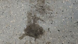 Business queued-photos - Pressure Washing America, LLC