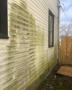 Business queued-photos - Deep Ocean Clean LLC