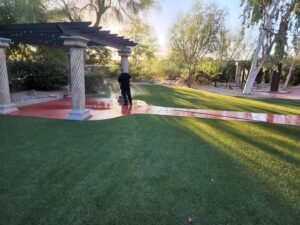 Business queued-photos - Washed Up Exterior Cleaning LLC