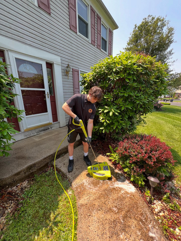 Business queued-photos - Power Wash Paradise