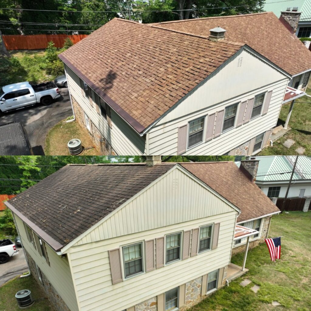 Business queued-photos - Power Wash Paradise