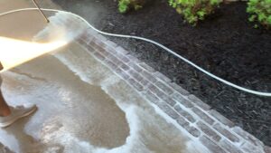 Business queued-photos - Dream Team Exterior Solutions