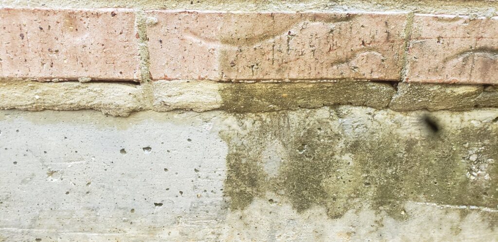 Business queued-photos - Gorilla Power Wash & Stain