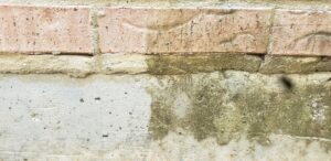 Business queued-photos - Gorilla Power Wash & Stain